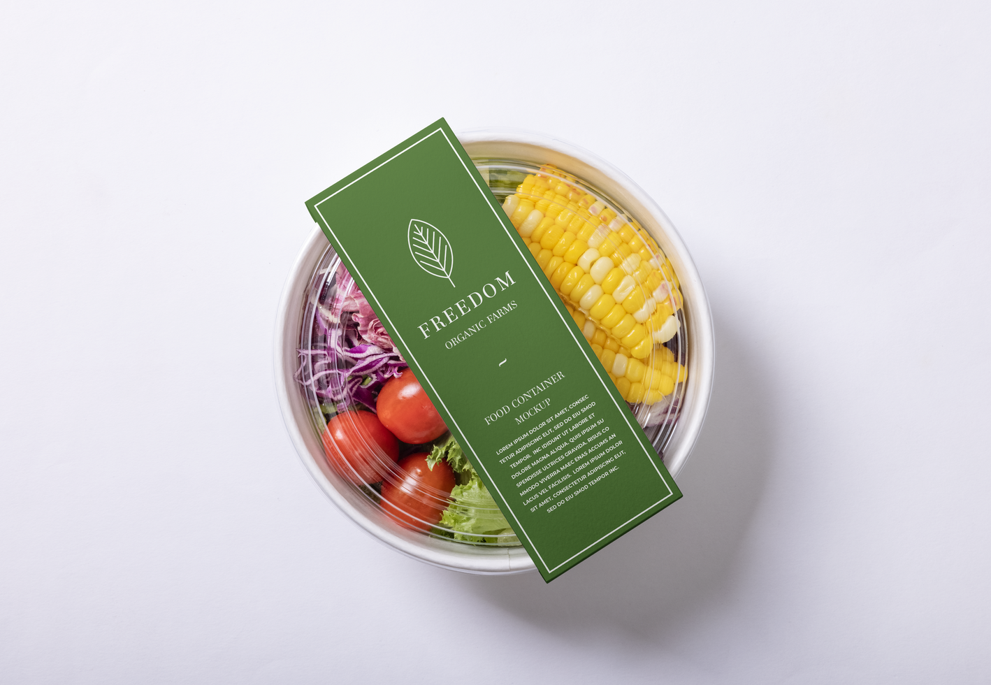 Takeaway food container box mockup psd