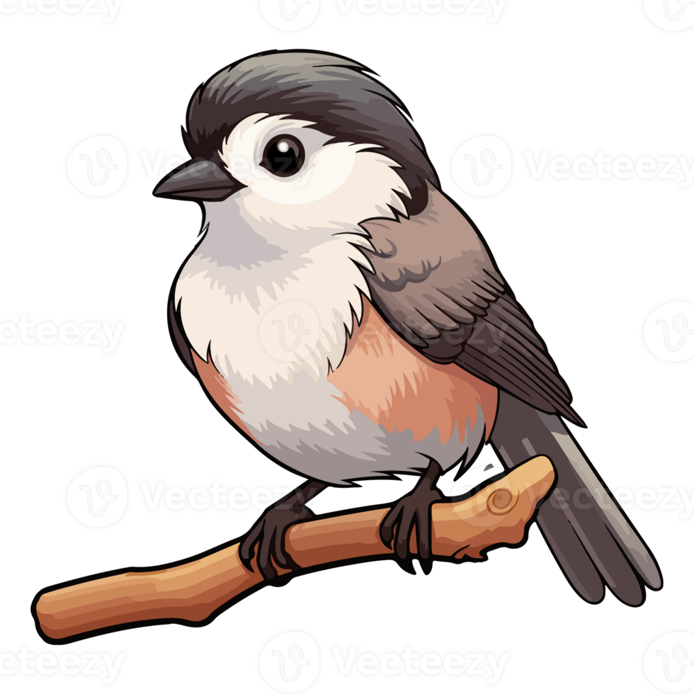 Fluffy appearance Chickadee illustration in cartoon style png