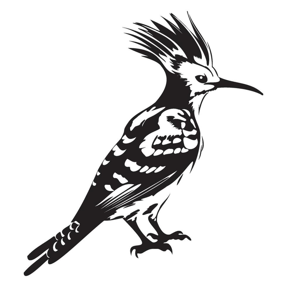 Eurasian hoopoe icon, Simple illustration of Eurasian hoopoe icon, bird glyph icon. vector