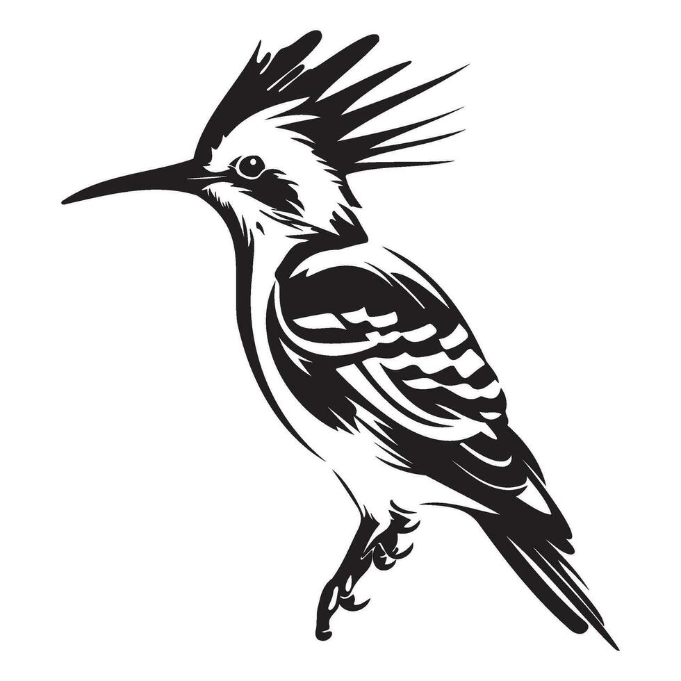 Eurasian hoopoe icon, Simple illustration of Eurasian hoopoe icon, bird glyph icon. vector