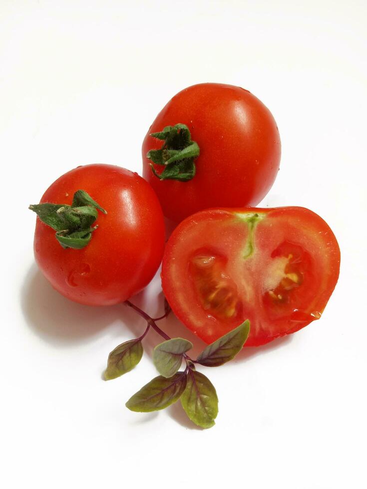 ripe tomatoes and sprig of basil on a white background photo