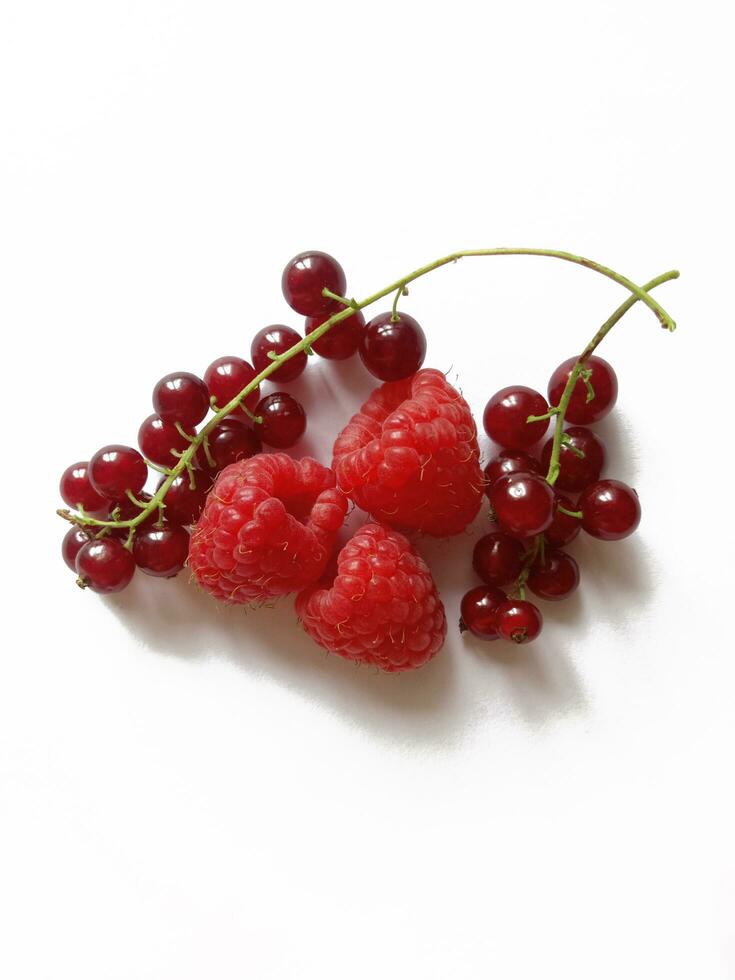 raspberries and bunches of red currants on a white background photo