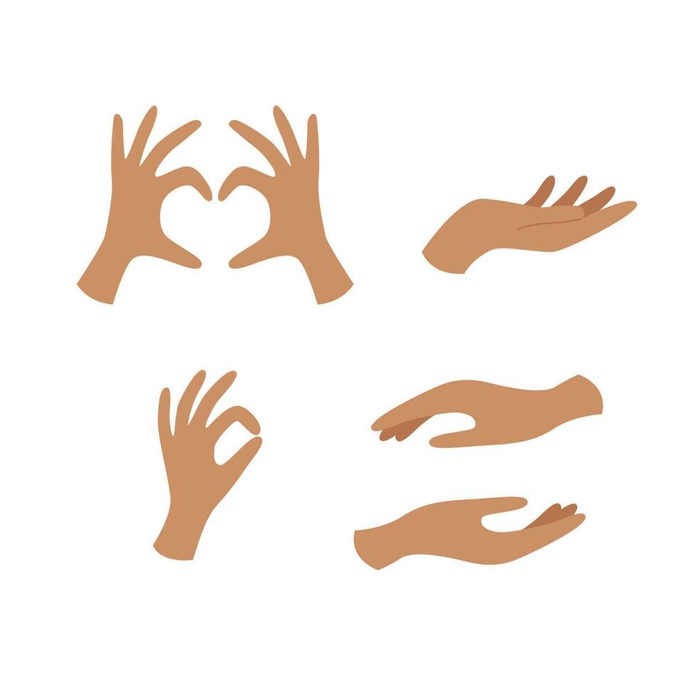 Hands poses. Female hand holding, heart shape and other gestures vector