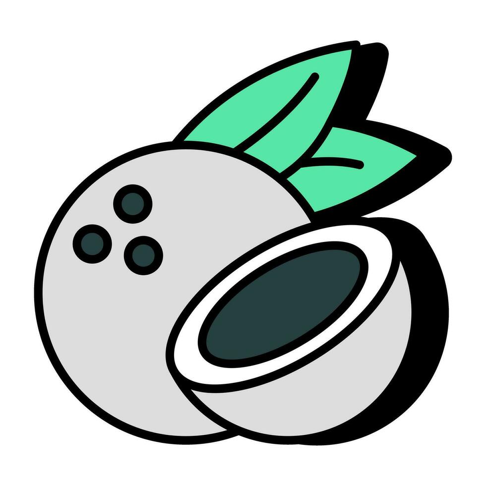 Vector design of half coconut