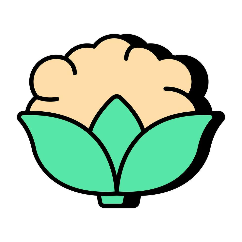 prima descargar icono de coliflor vector