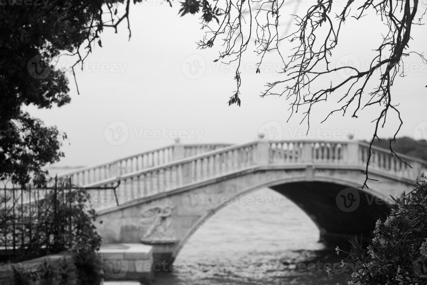 Venice, a bewitching city in Italy, full of history and medieval architecture. photo