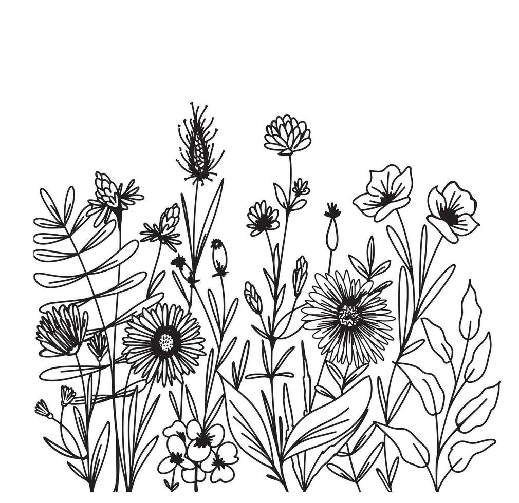 Black silhouettes of herbs, flowers and herbs isolated on a white background. Hand drawn sketch of wildflowers. Vector illustration.