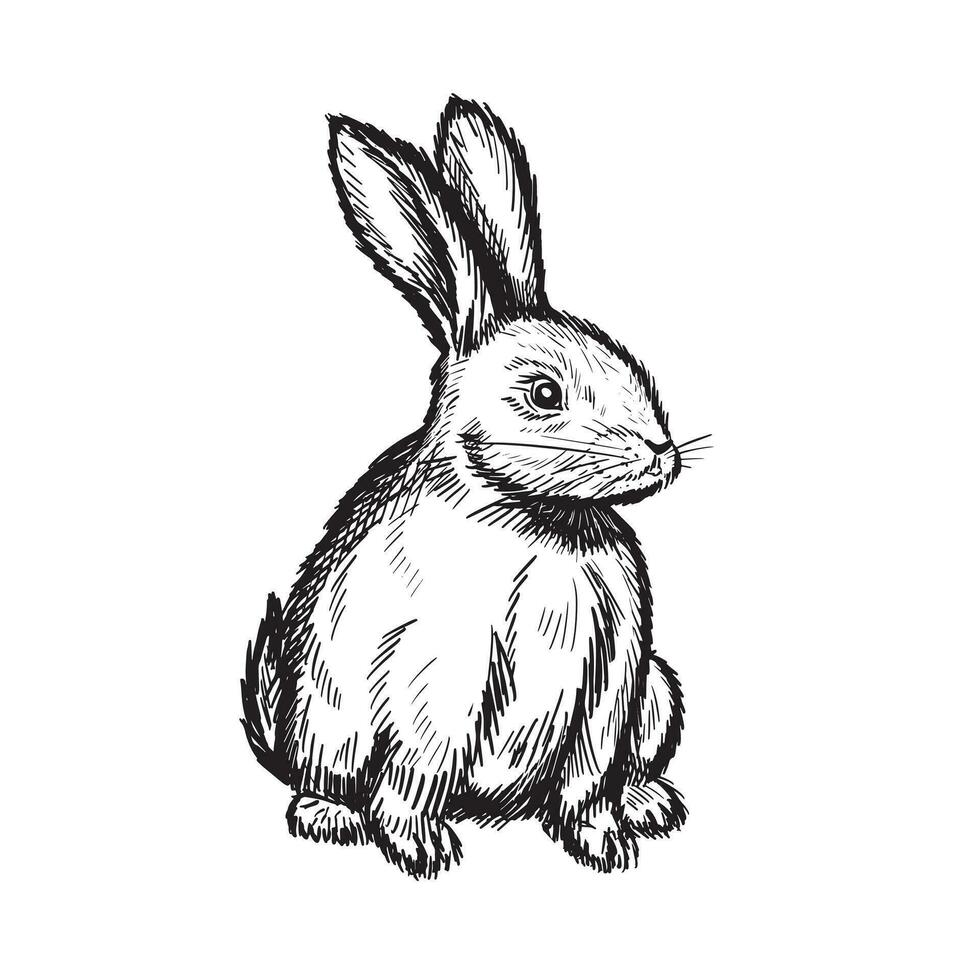 Rabbit bunny hand drawn sketch. Ink Seated Hare.Vector illustration. vector