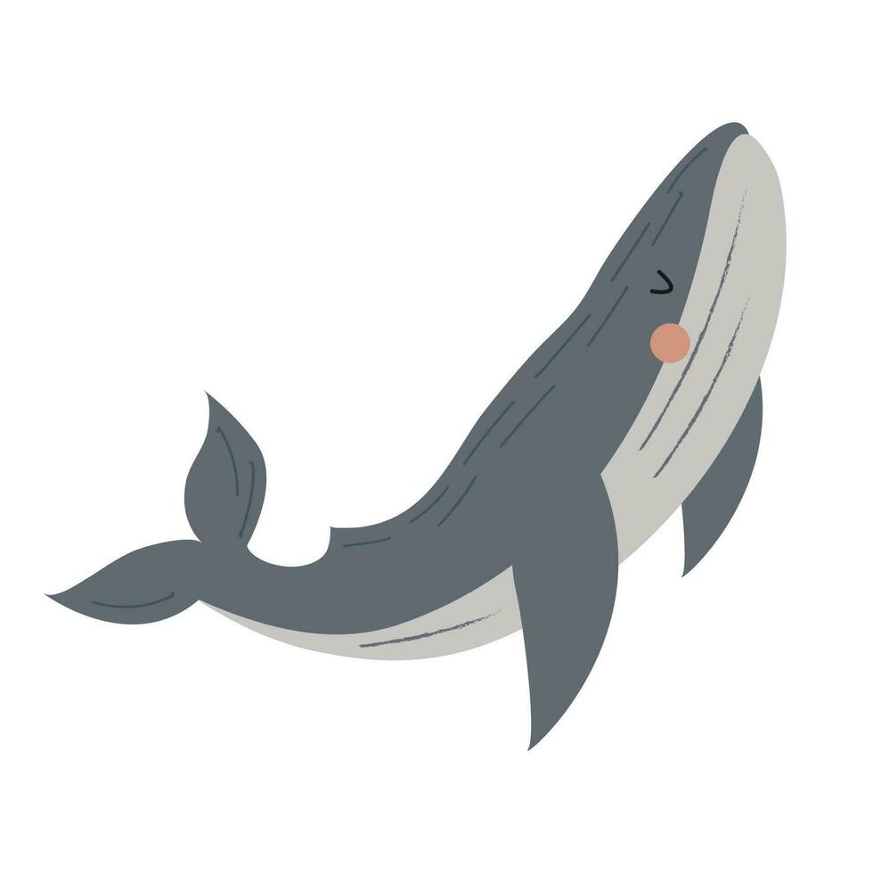 Cute whale. Oceanic animal. Mammal. Vector illustration in flat style. White isolated background.