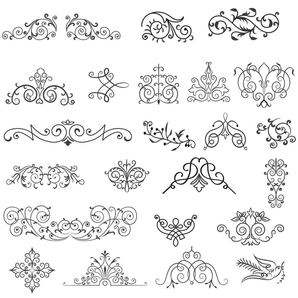 Vector illustration graphic elements for design, Swirl elements decorative illustration