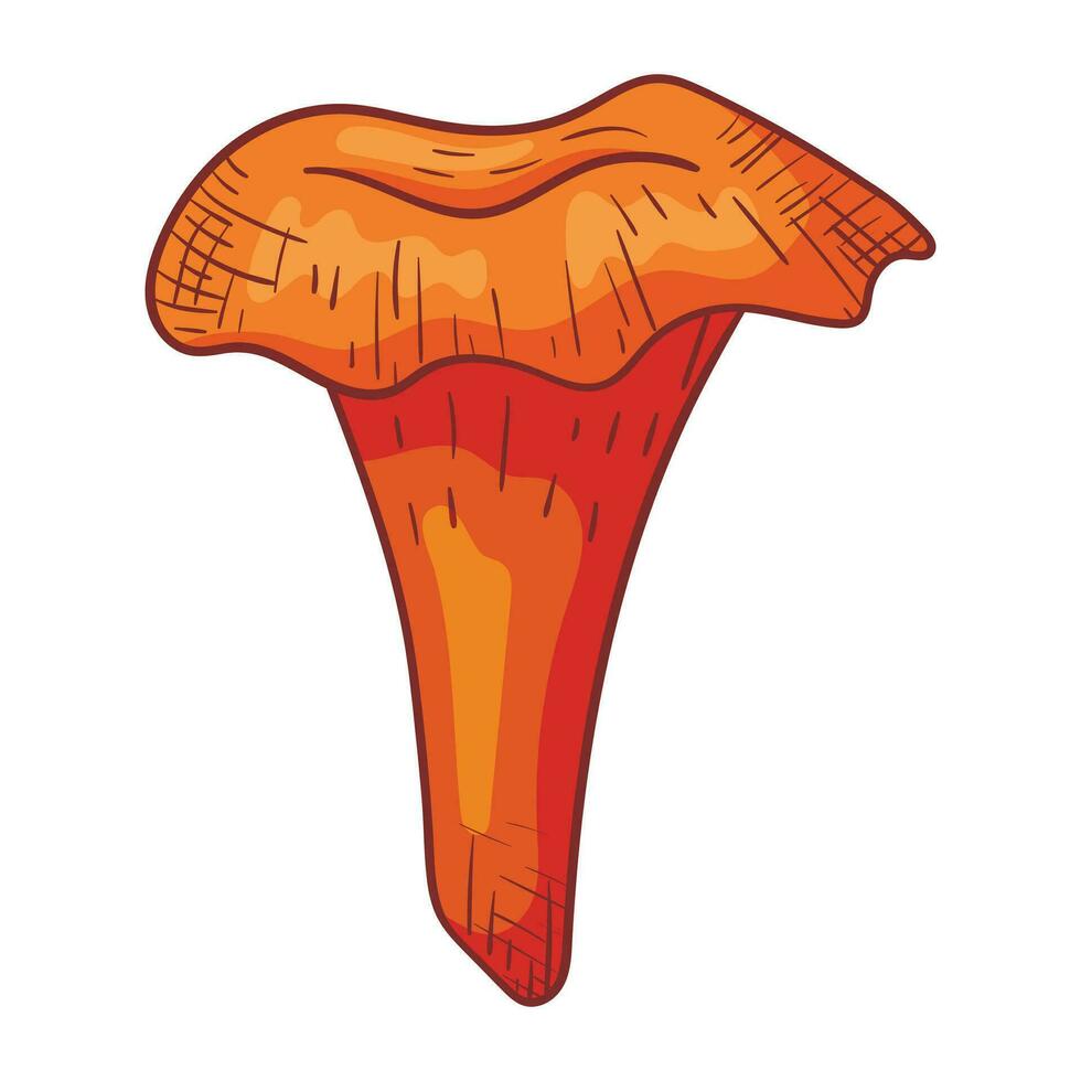 Vector isolated image of forest doodle chanterelle mushroom in line art style.