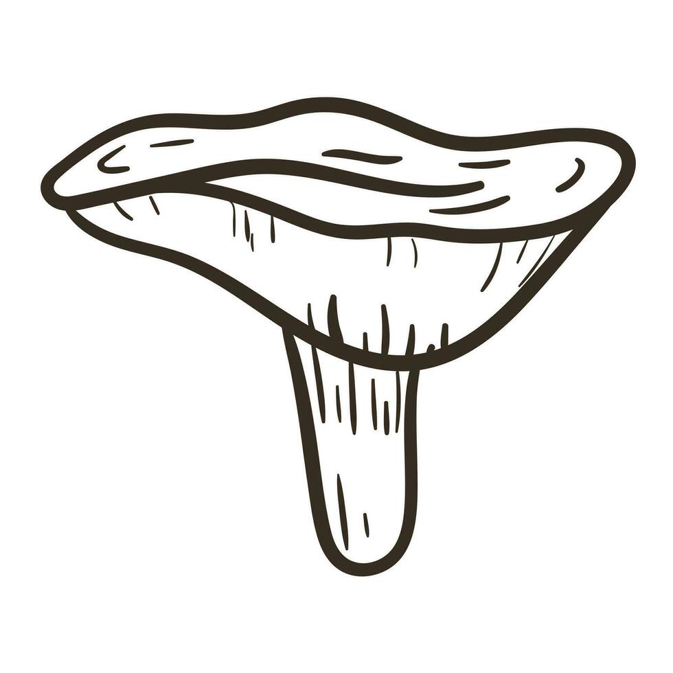 Vector isolated doodle illustration of forest chanterelle mushroom in outline style.