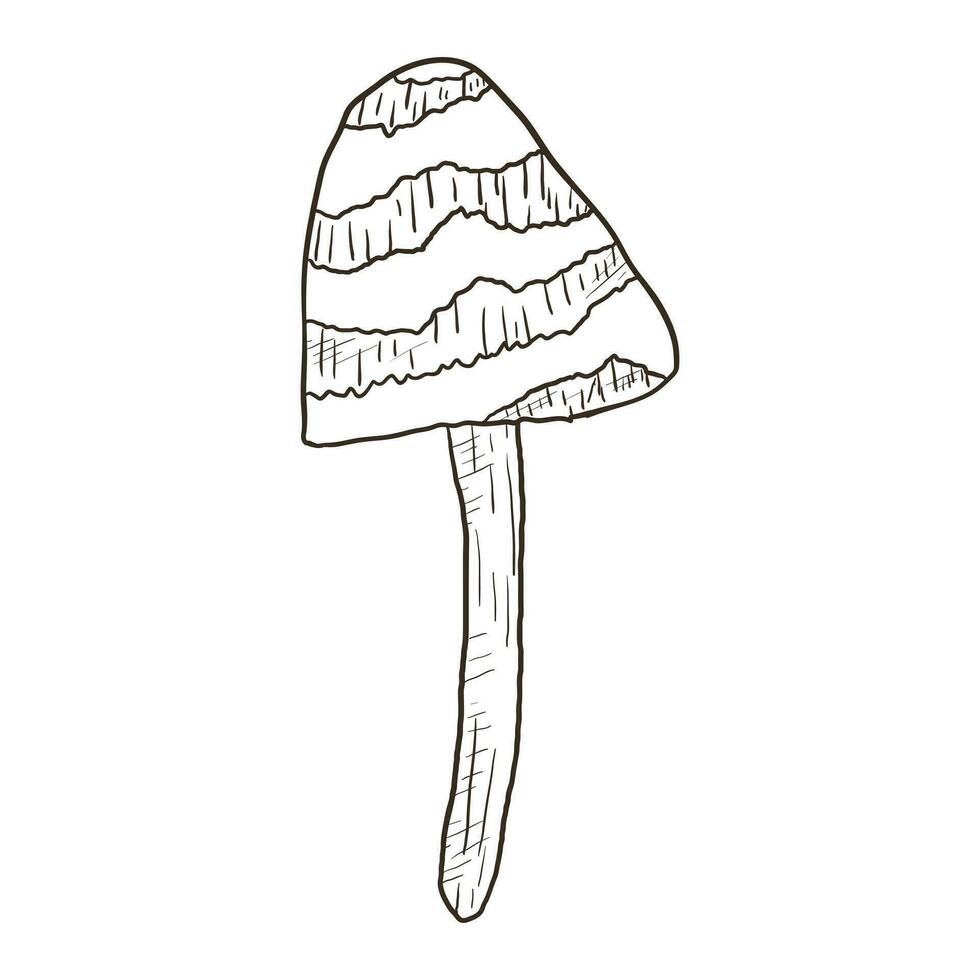 Vector isolated doodle illustration of wild mushroom toadstool in outline style.