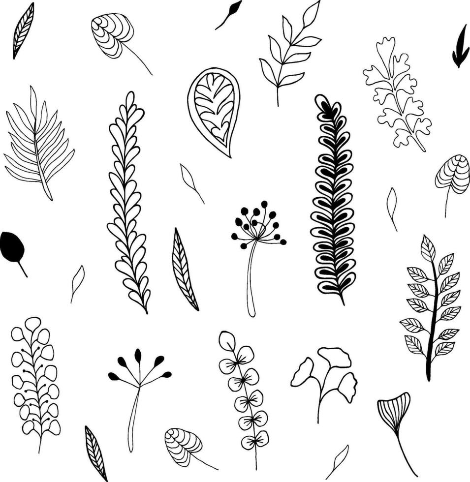 Set of doodling flowers.For wedding design, logo, greeting card. vector