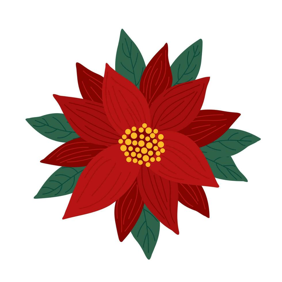 Red poinsettia flower traditional winter holidays plant, simple vector illustration, Merry Christmas and Happy New Year seasonal festive decor