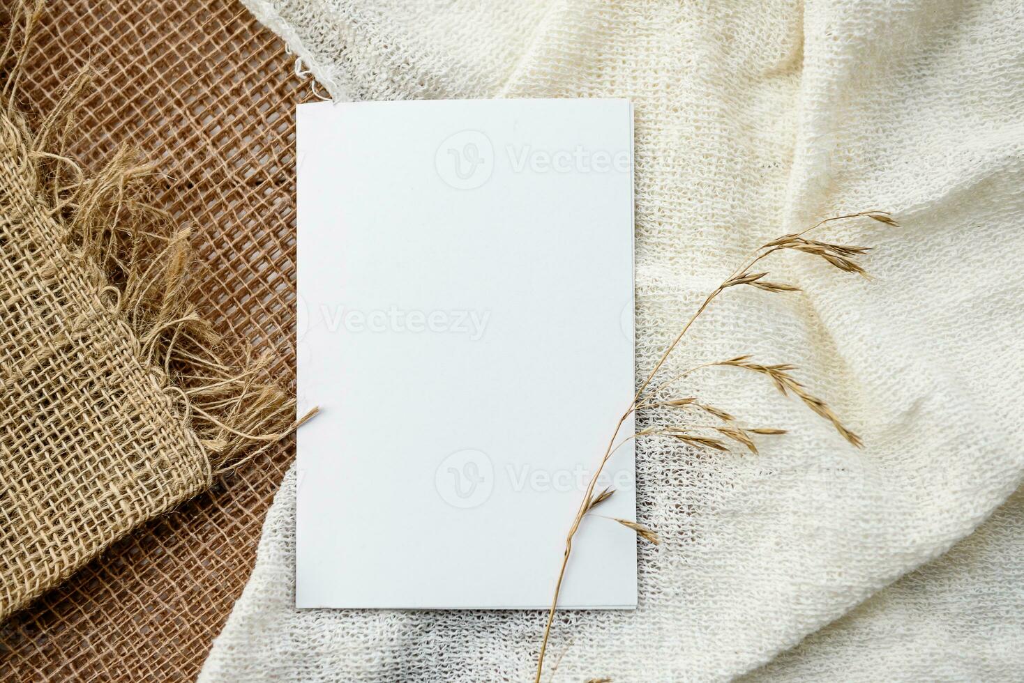 Fashionable white stock background with a blank postcard and flowers. Top view and copy space. photo