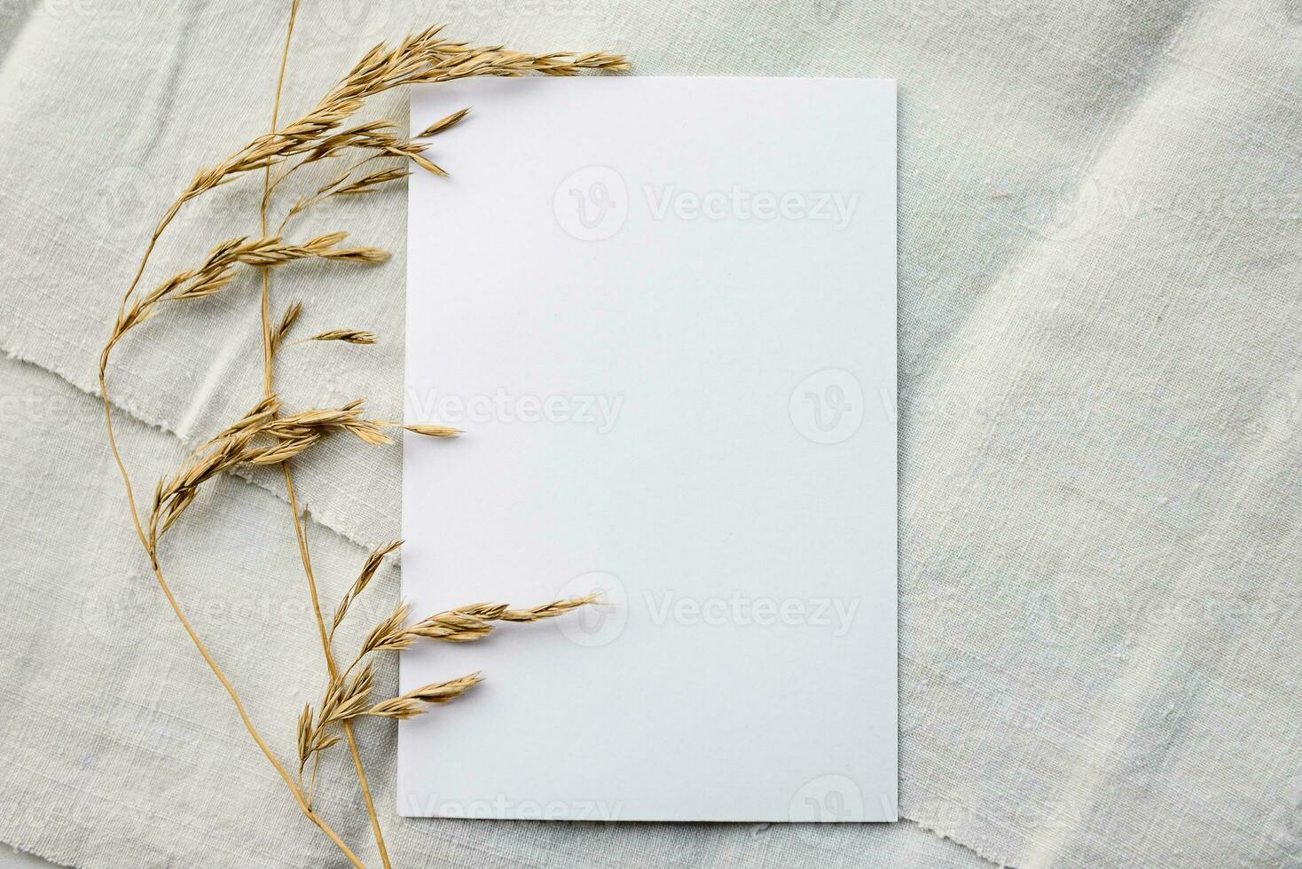 Fashionable stock stationery background - a white map and sprigs of wheat ears on a white table. Romantic background. Blank for an invitation card. photo