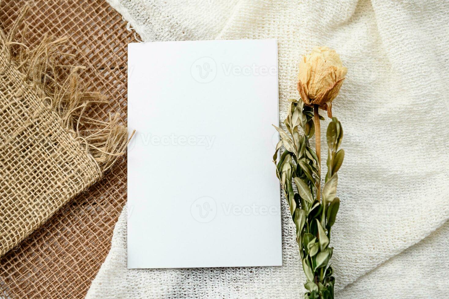 Fashionable stock stationery background - a white map and sprigs of wheat ears on a white table. Romantic background. Blank for an invitation card. photo