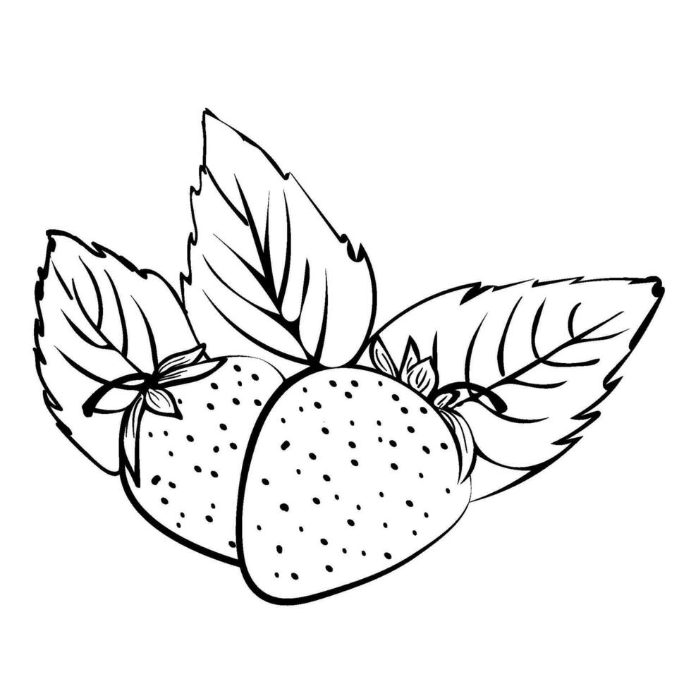 Strawberry outline icon vector