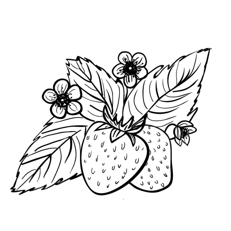 Strawberry outline icon 26275266 Vector Art at Vecteezy