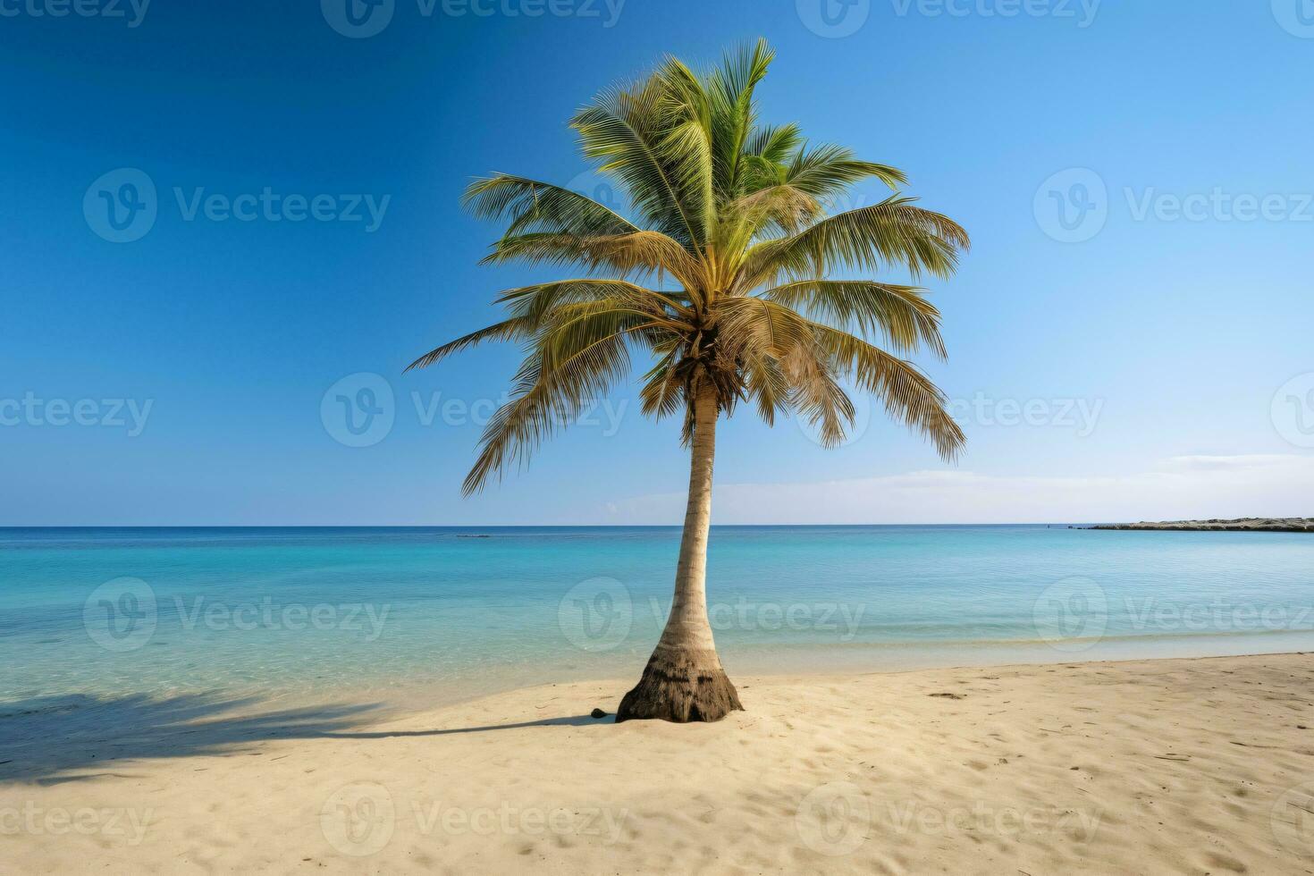 Palm tree on an empty beach photography generative ai photo