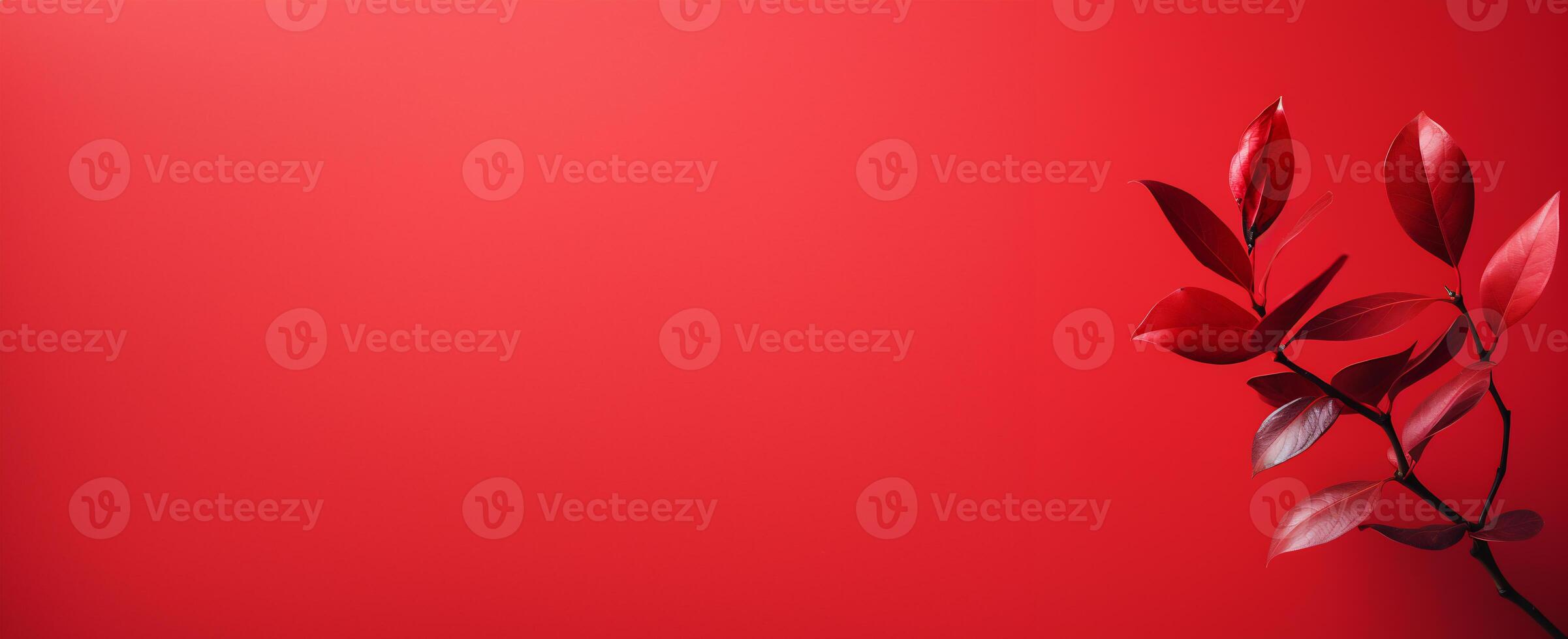 The Minimals - The Red Background - - photo
