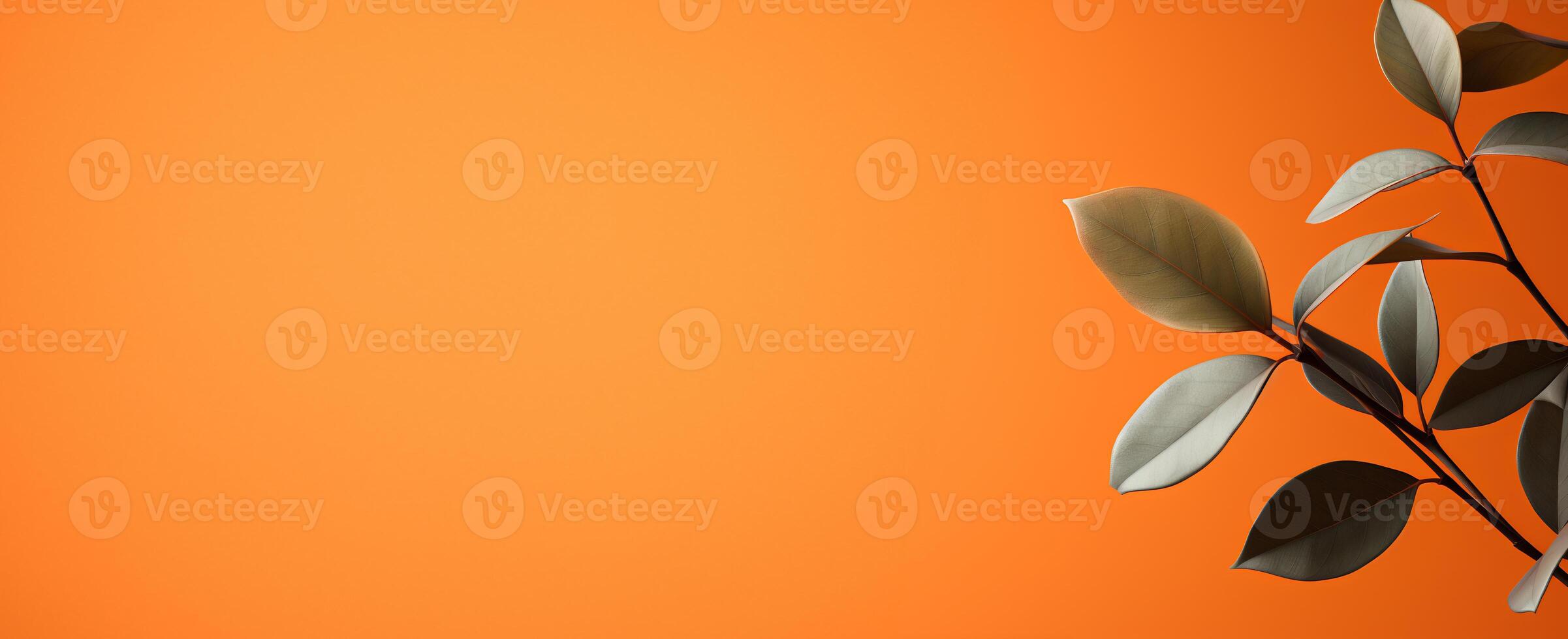 The Minimals - The Orange Background - - photo