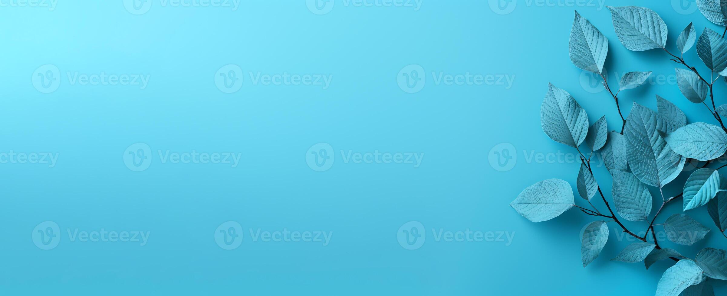 The Minimals - The Blue Background - - photo