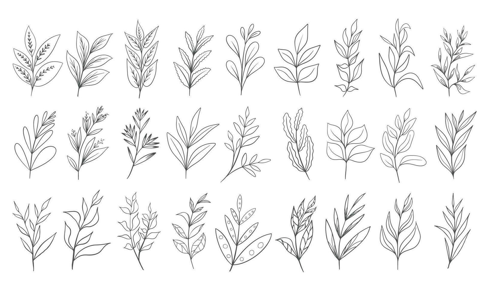 Hand drawn floral herbs set elements vector