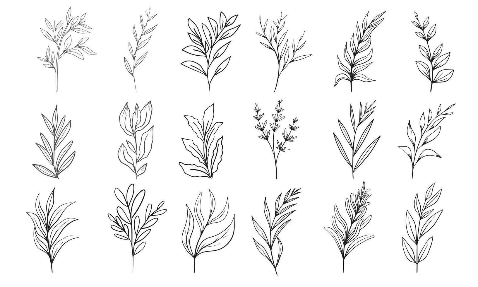 Hand drawn floral herbs set elements vector