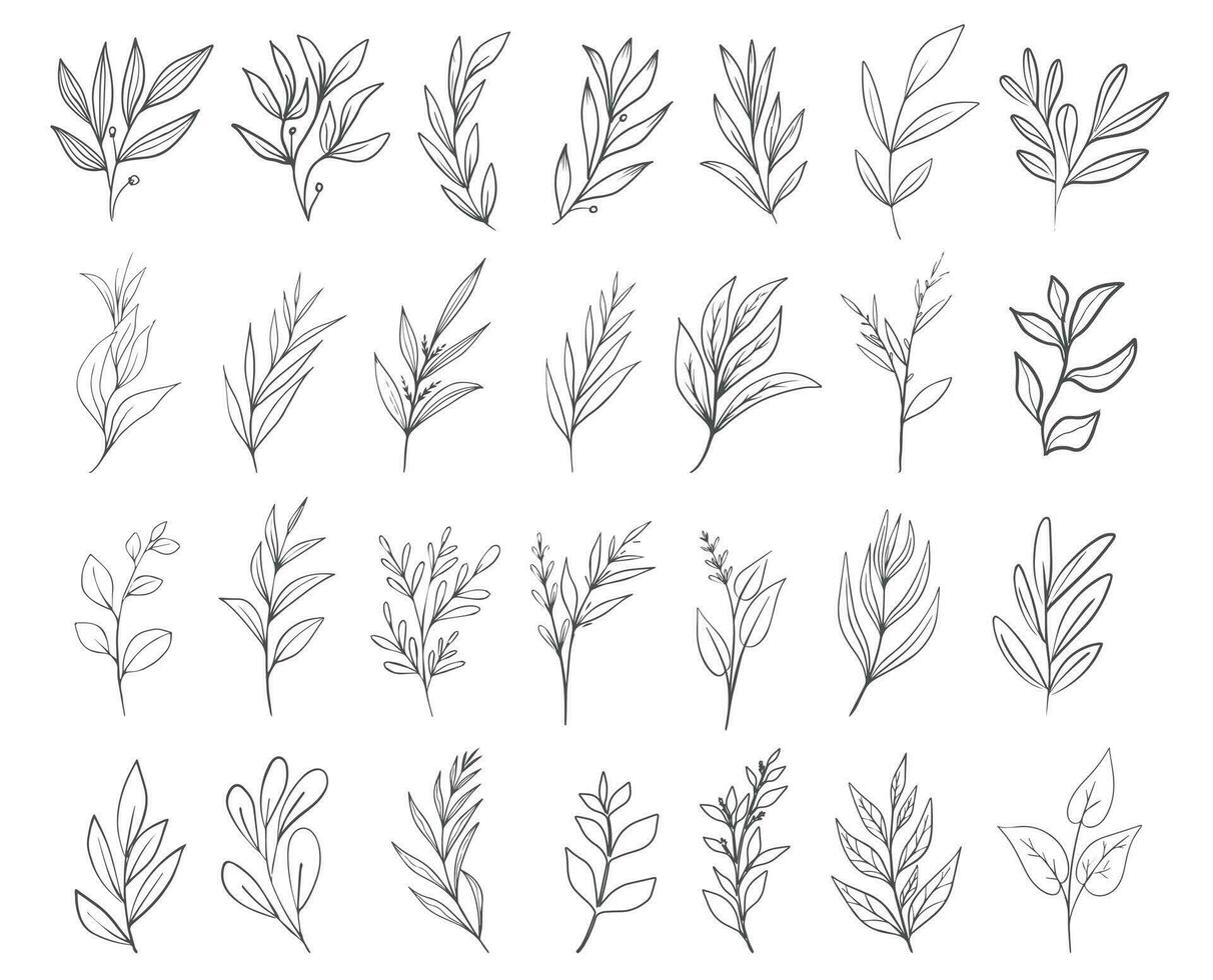 Hand drawn floral herbs set elements vector