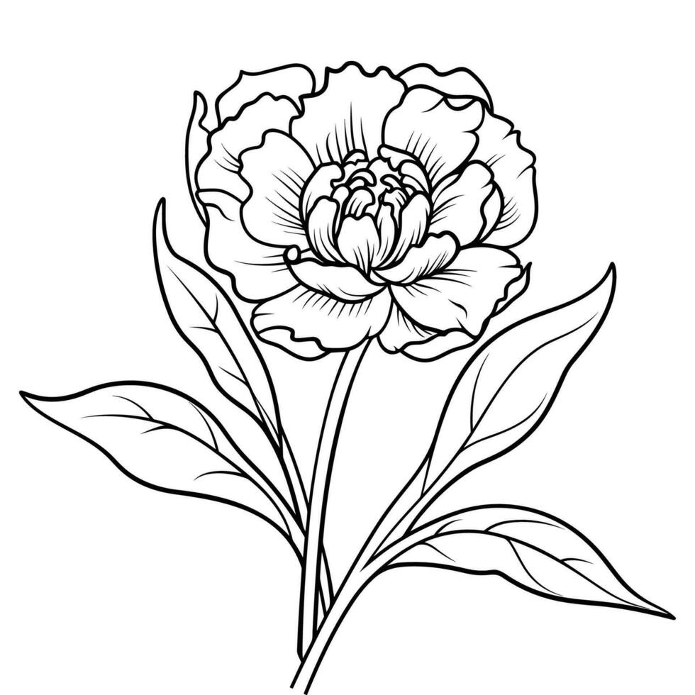 A flower with leaves and a white background vector