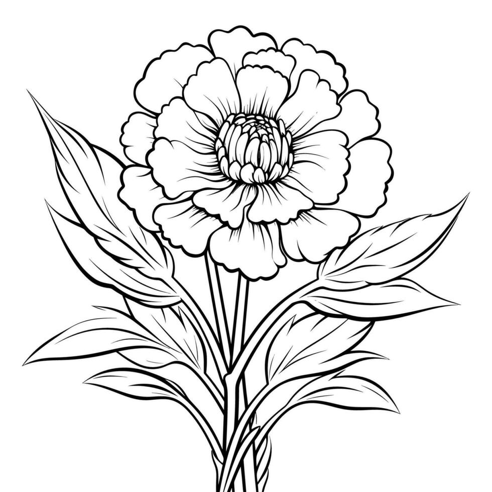 A flower with leaves and a white background vector