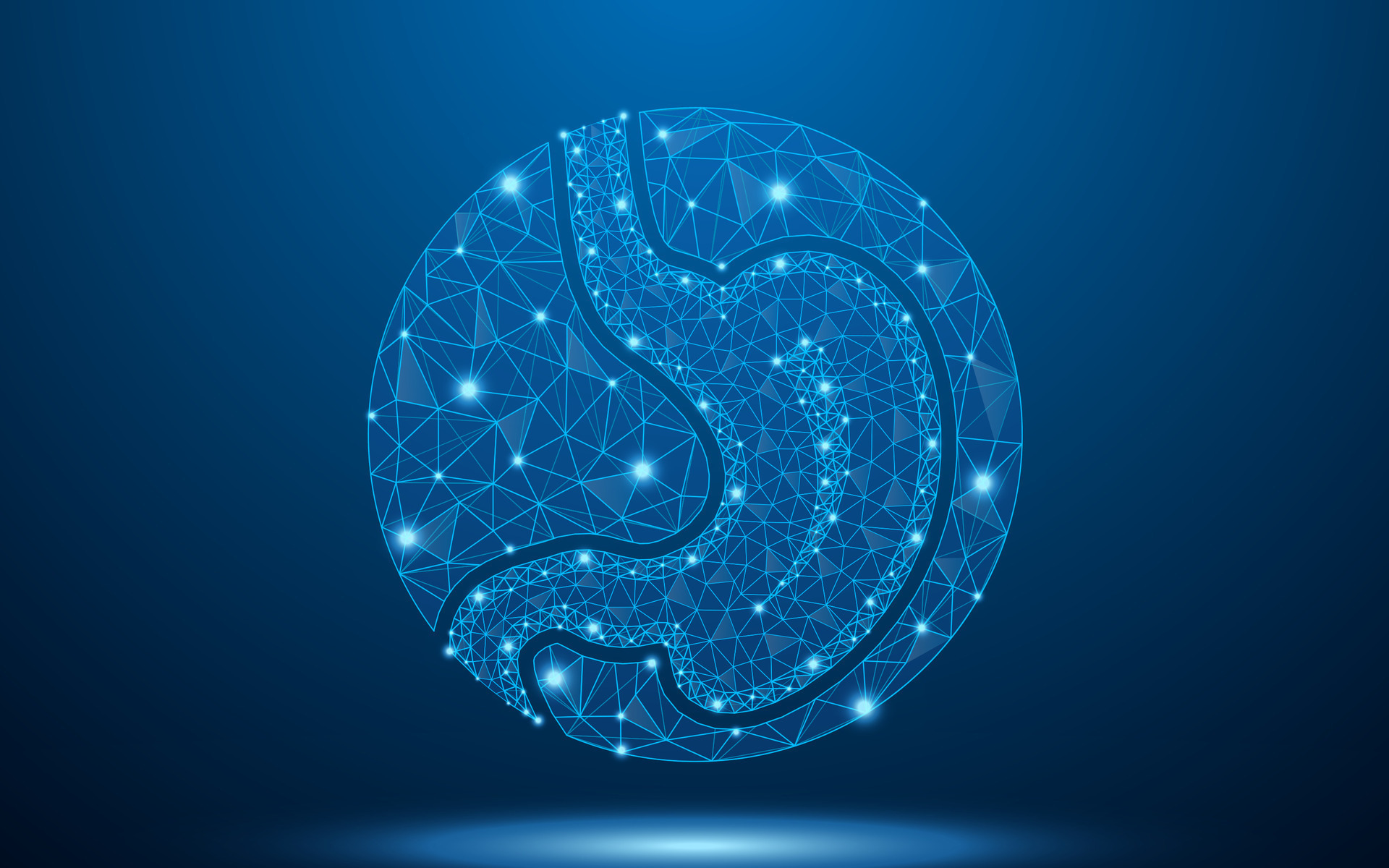 Human stomach digestive organ low poly wireframe with abstract mesh line and dot point