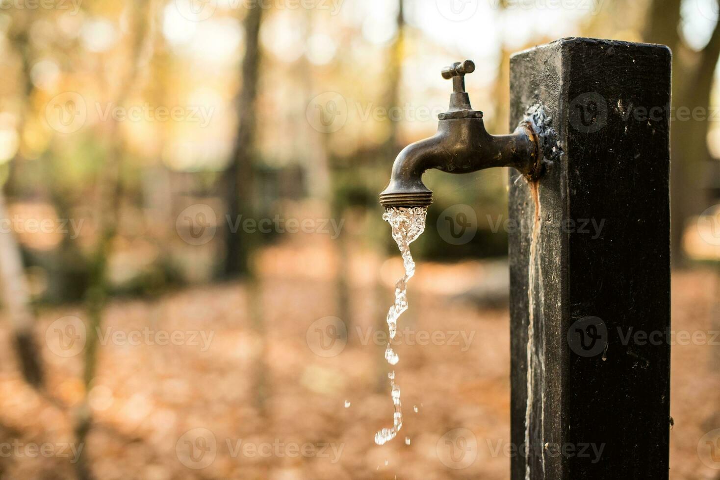 Wasting the Water photo