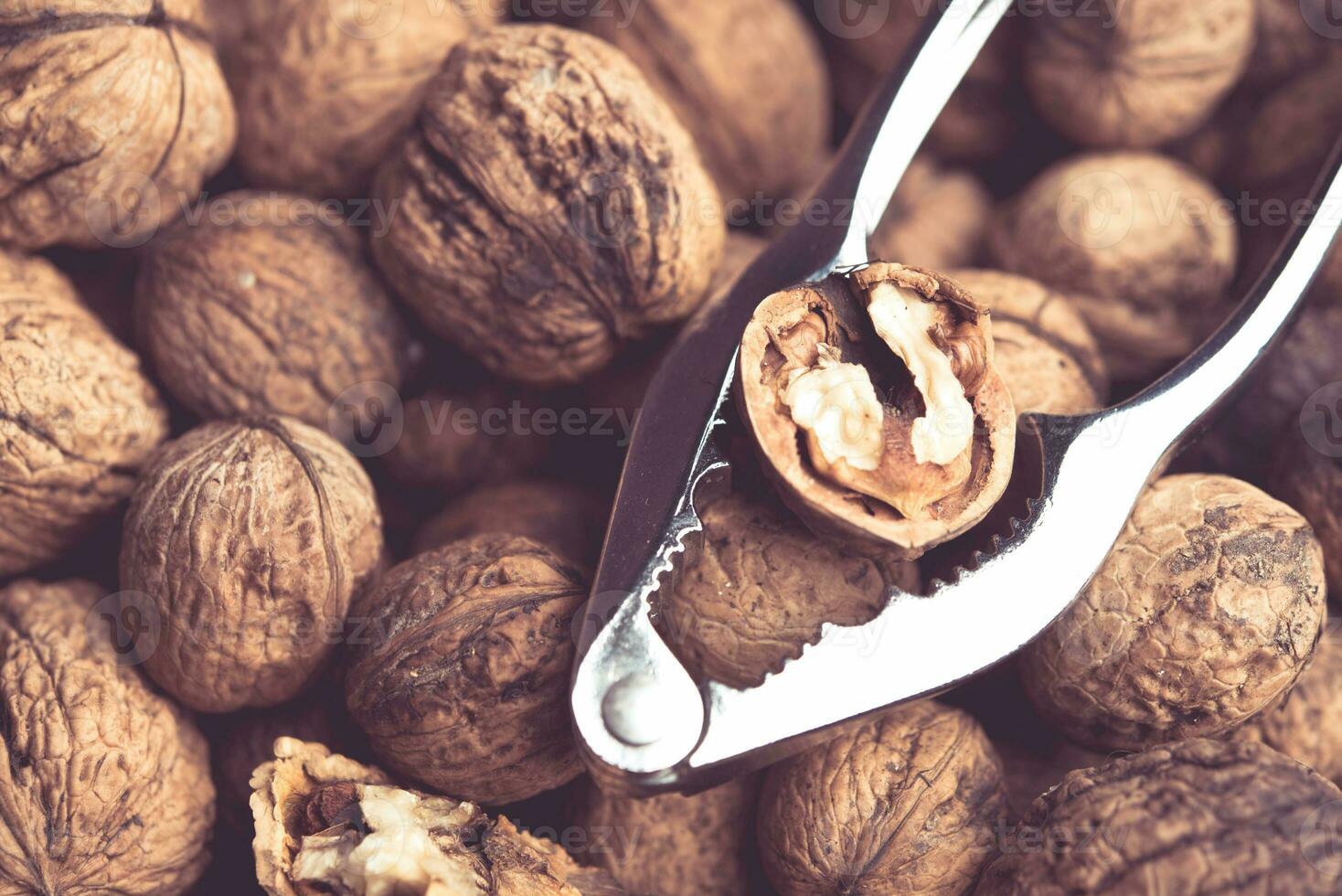 Old metal nutcracker with walnuts in the background. photo