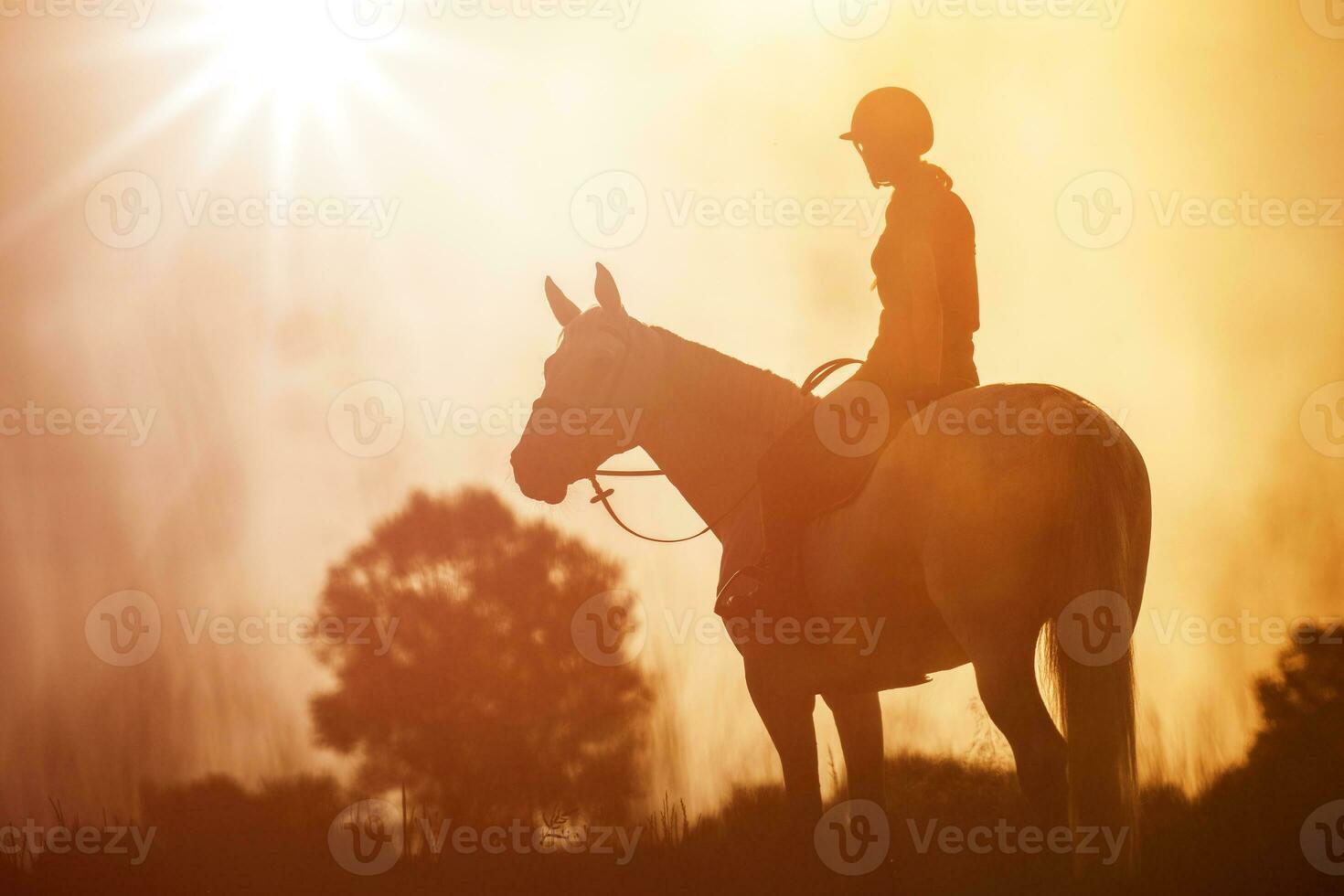 The silhouette of a horse rider and her horse against the background of sunset. photo