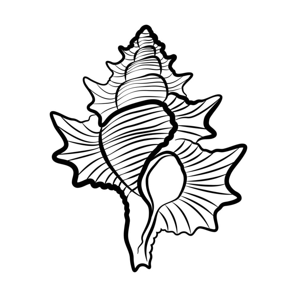 Triton shell vector icon design. Marine world flat icon.