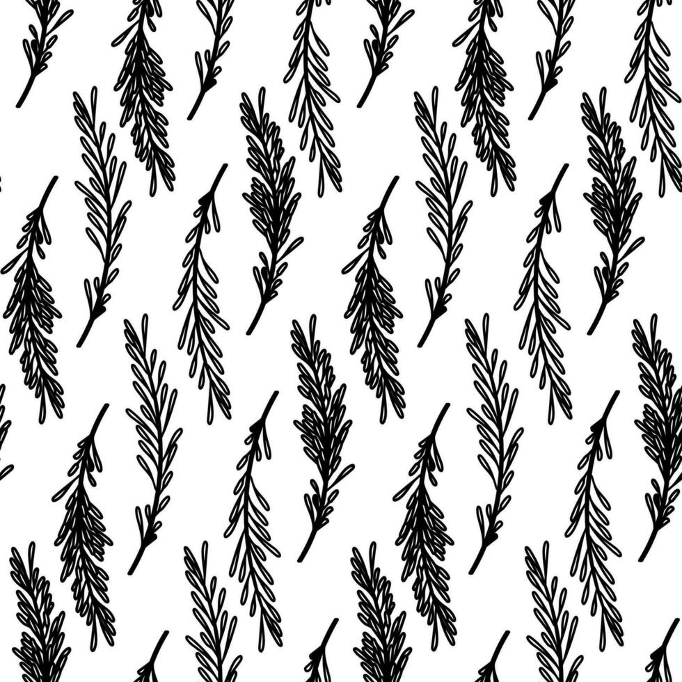 Rosemary branches doodle seamless pattern vector illustration