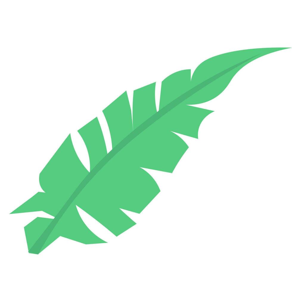 a green leaf on a white background vector