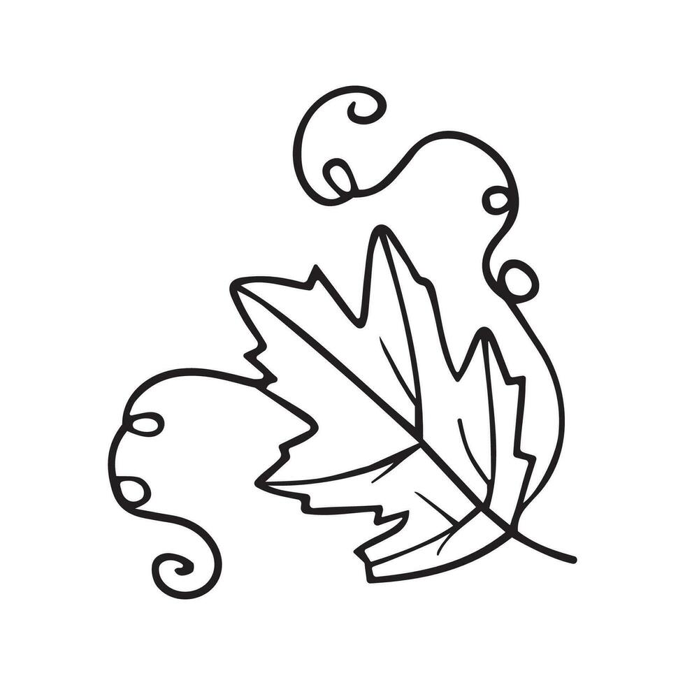 Hand drawn vector illustration of hop leaf.