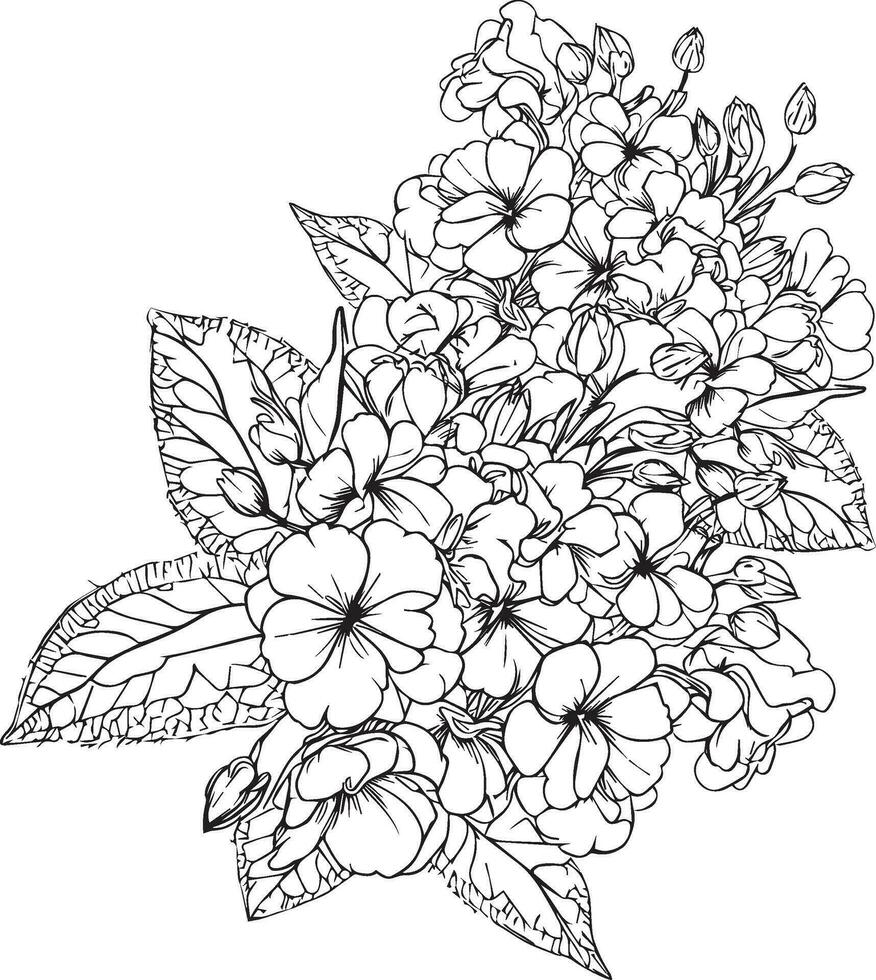 Primrose tattoo, black and white vector sketch illustration of floral ornament bouquet of Primula Francisca simplicity, Embellishment, zentangle design element for card printing coloring pages