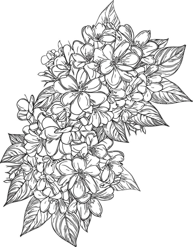 Primrose isolated, hand-drawn floral element. vector illustration bouquet of Primula Francisca, sketch art beautiful primrose, primula flower tattoo, coloring page for adults, vintage primula drawing,