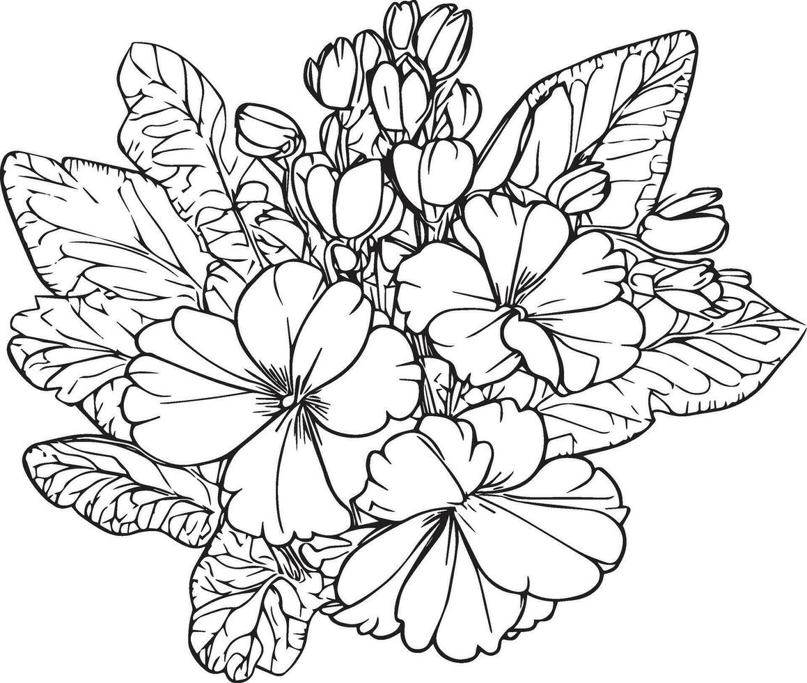 Primrose coloring book hand drawn botanical spring elements bouquet of primrose flower line art, coloring page, vector sketch, artistic simplicity doodle art, Easy yellow primula flower drawing,