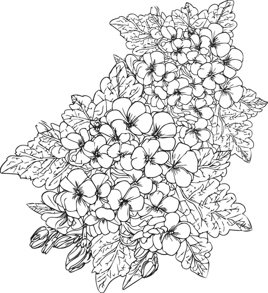 Primrose bouquet, of flower design for card or print. hand-painted flower illustration isolated on white, engraved ink art floral coloring pages, and books for print, pretty flower colorin pages vector