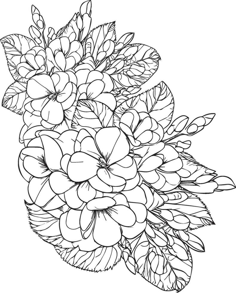 primrose vector illustration, beautiful primula flower bouquet, hand-drawn coloring pages primula flower drawing of artistic, primrose engraved ink art, primula flower tattoo designs vintage primrose,