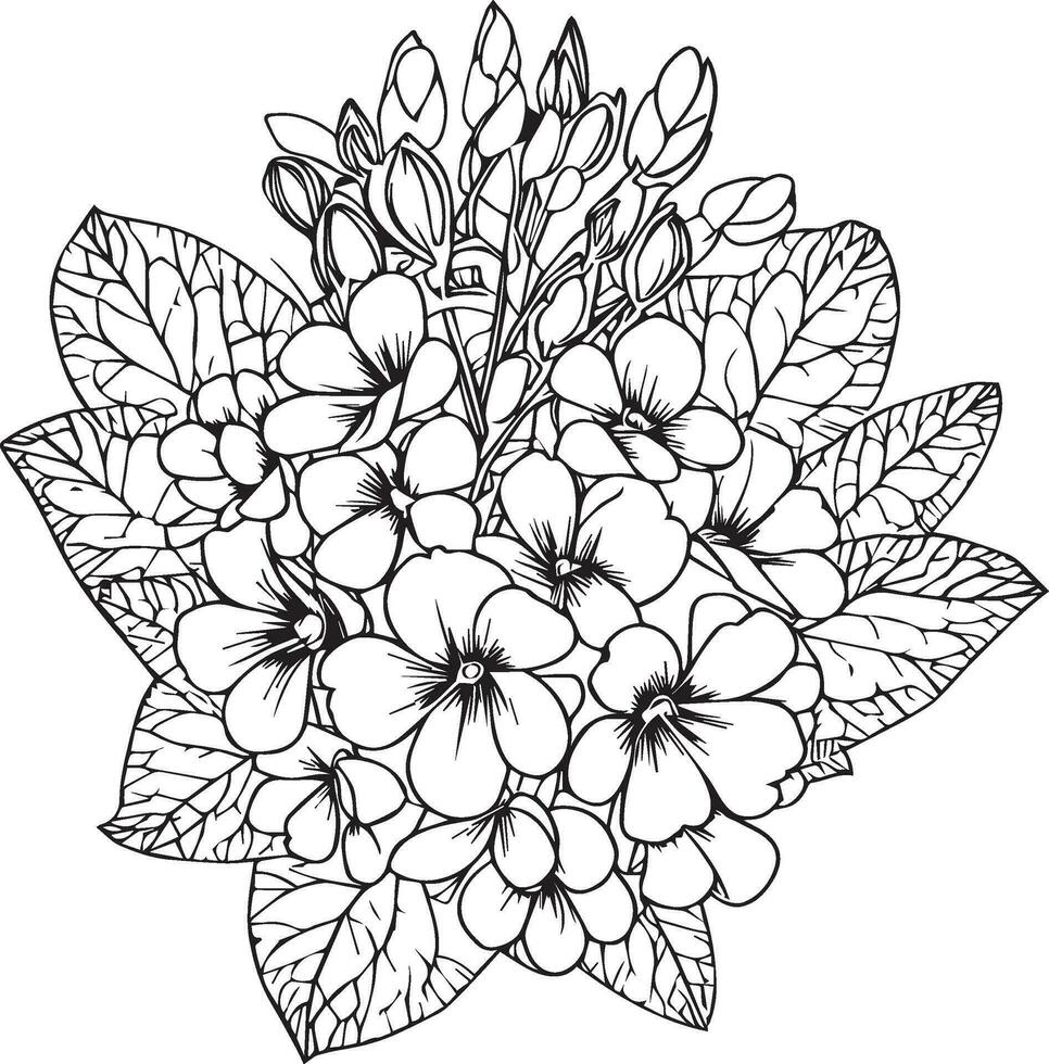 primrose flower drawing, a branch of the botanical spring collection, ink illustration vector art of primula bouquet, hand-drawn artistically, Zentangle tattoo, easy flower coloring pages and book,