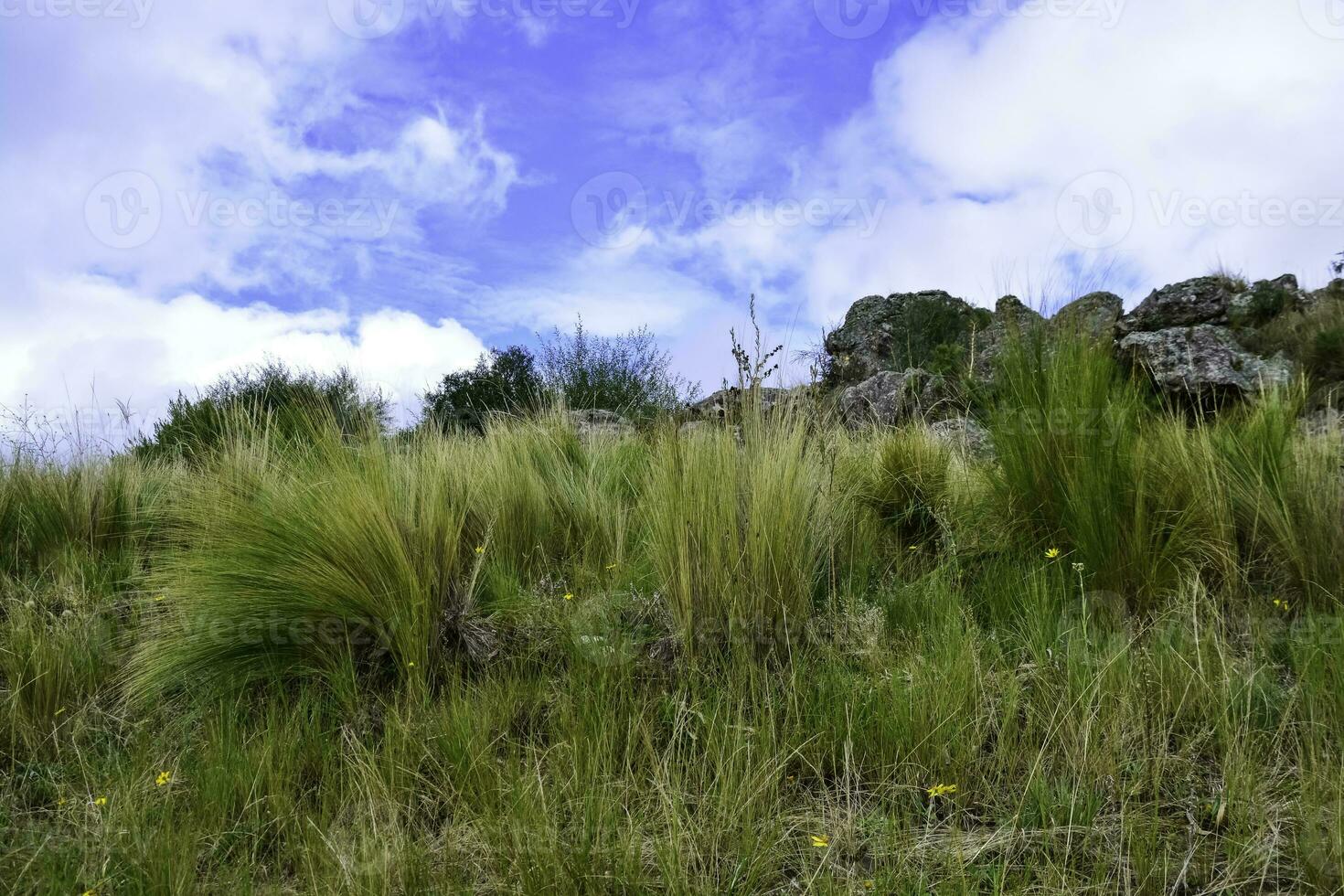 quebrada del condorito nacional parque, córdoba provincia, argentina foto