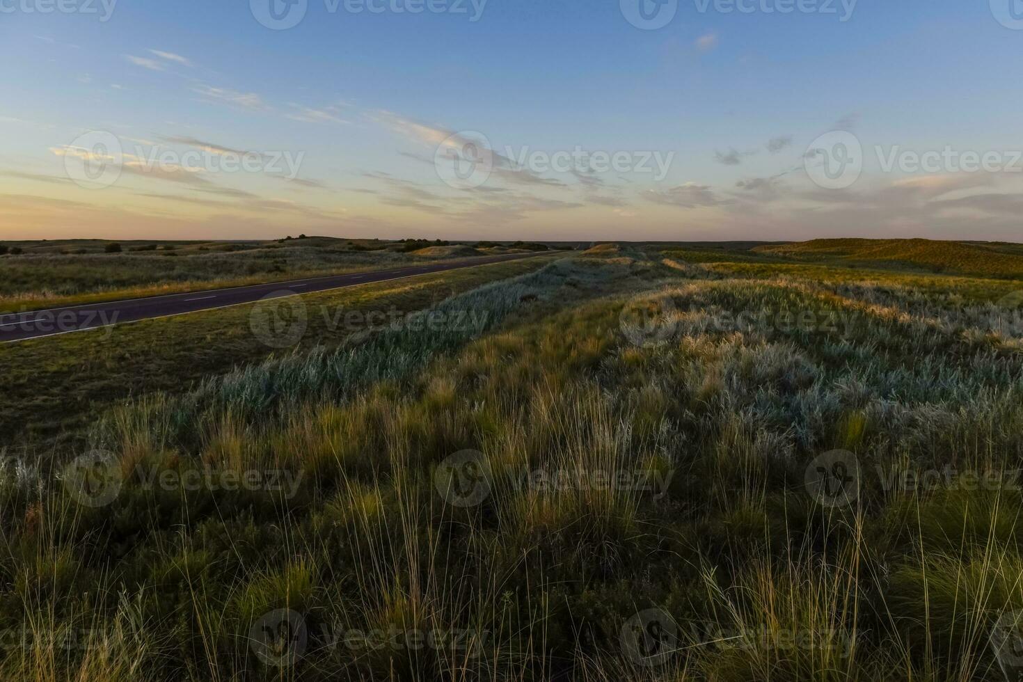Pampas grass landscape, La Pampa province, Patagonia, Argentina. photo