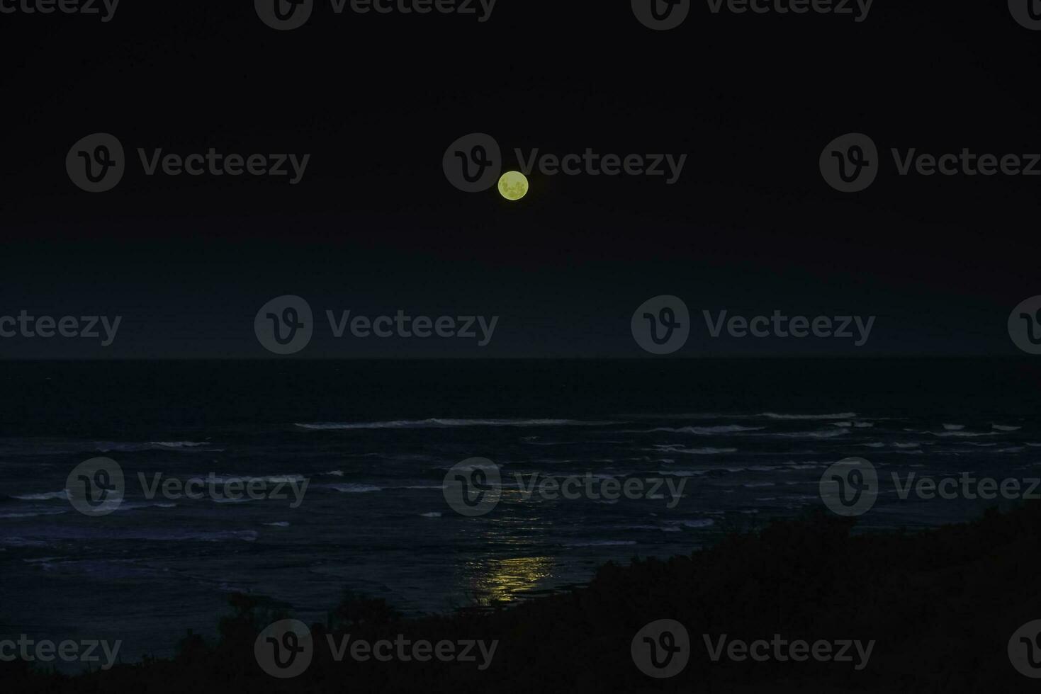 Sea night landscape and fullmoon , Peninsula Valdes, World Heritage Site, Patagonia Argentina photo